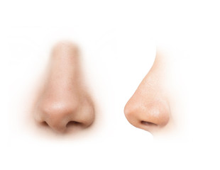 Smaller nose